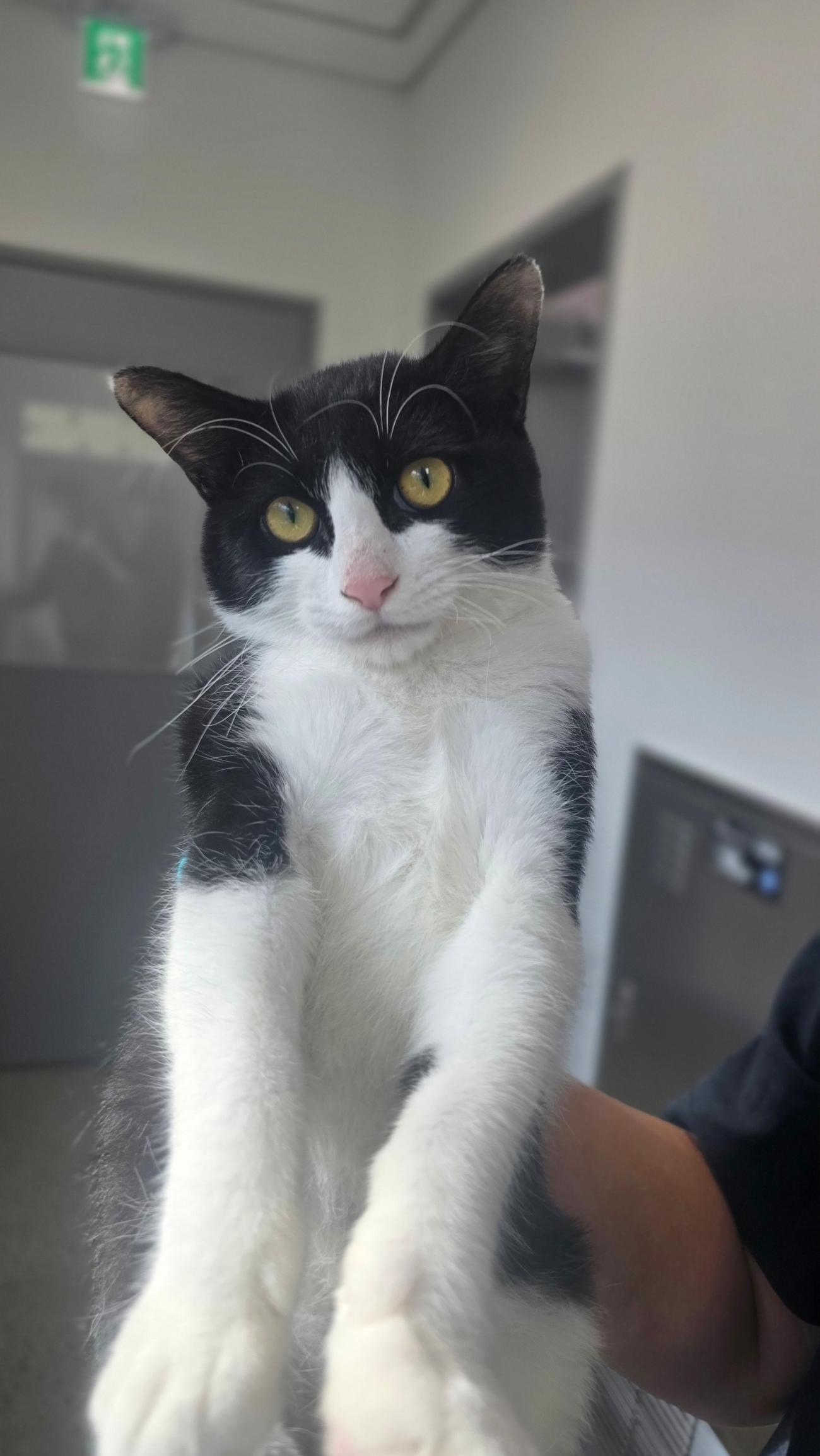 반려동물보호센터_443571202502972